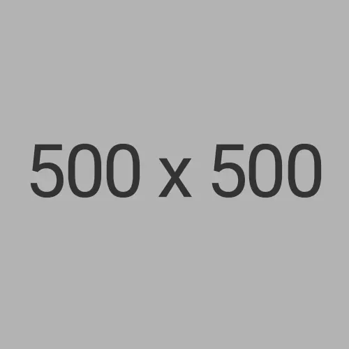500x500