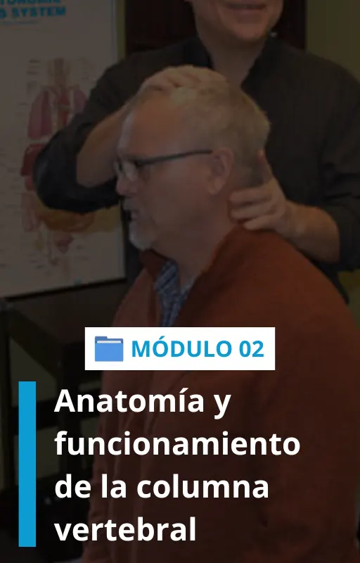 CAPA-MODULOS4.webp