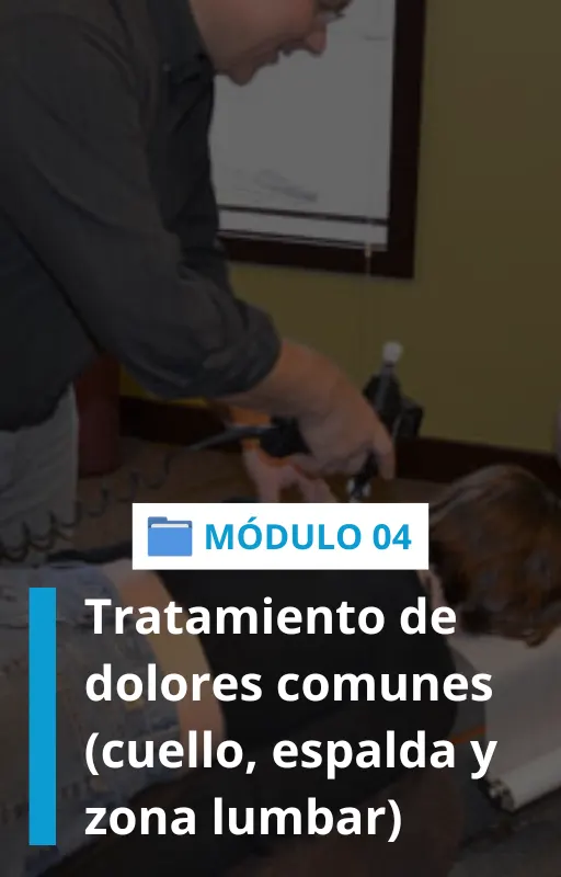 CAPA-MODULOS8.webp